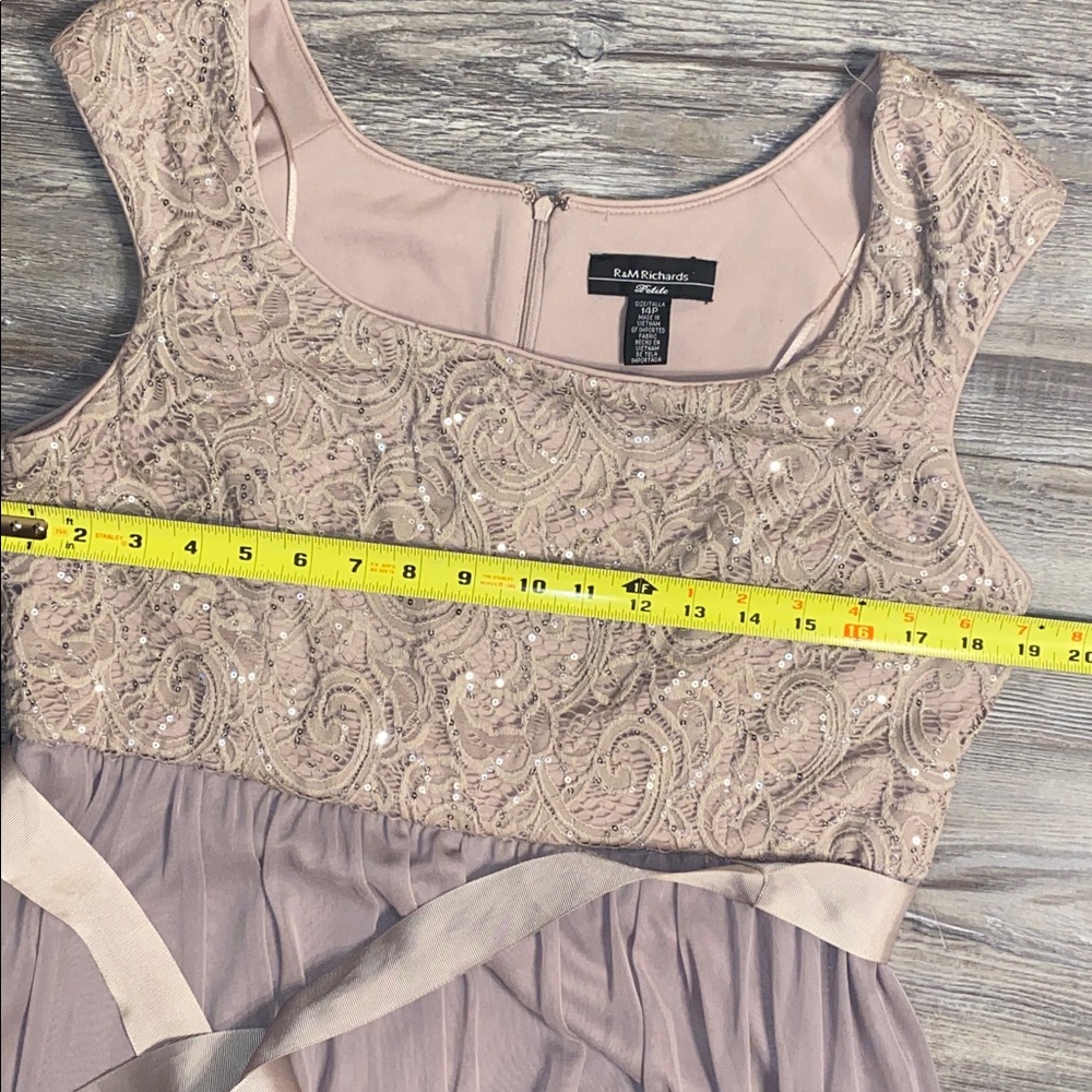 EUC R&M RICHARDS Lace + Chiffon Dress 14P - Picture 7 of 11